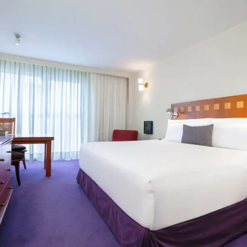 Deluxe King Room