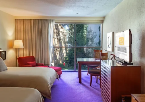 Deluxe Two Double Room