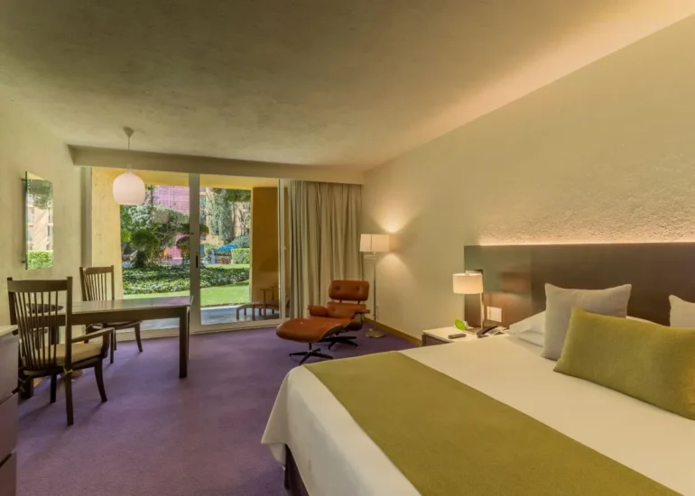 Superior Deluxe King Room
