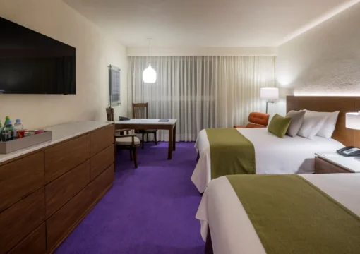 Superior Deluxe Twin Room